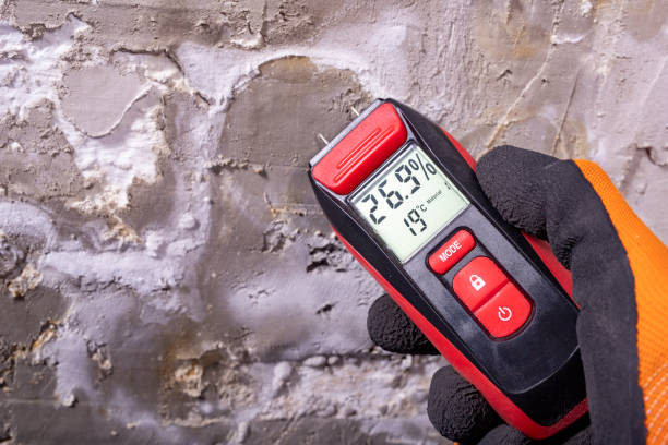 Best Health and Safety Mold Remediation in Red Rock, AZ