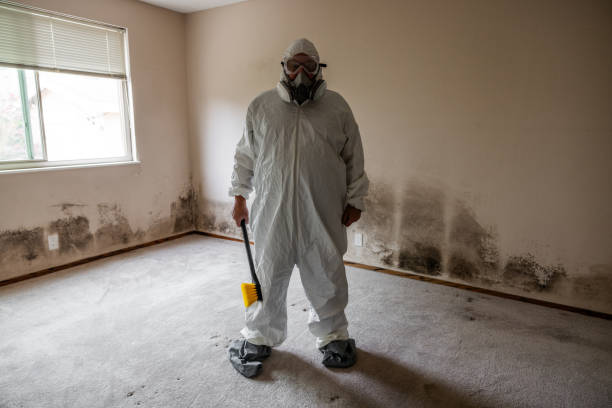 Professional Mold Remediation in Red Rock, AZ